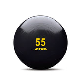 Pelota Fitness - ZIVA Classic